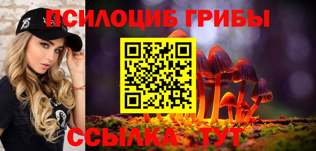 купить  цена  Галлюциногенные грибы прущие грибы  Галлюциногенные грибы мухоморы  Вход с VPN  Миллерово 